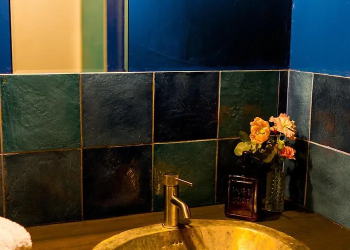 Guest house Maison Bonnefoy Toulouse