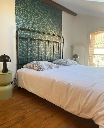Maison Bonnefoy Πανσιόν Τουλούζη